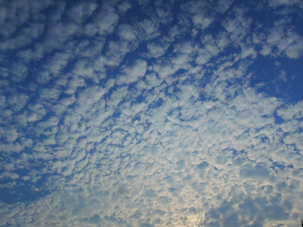 DSCN6377鱗雲