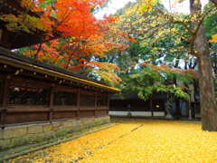 上御霊神社静かな時