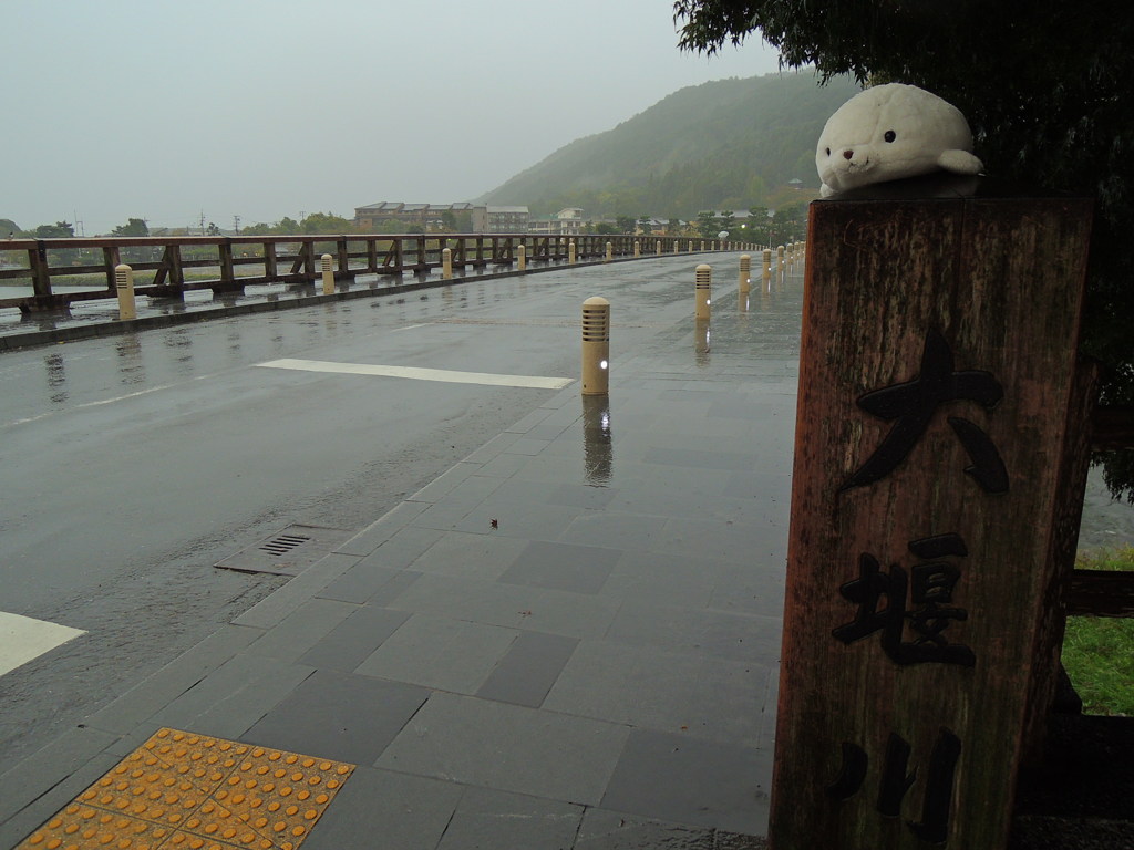 雨の日の忘れ物