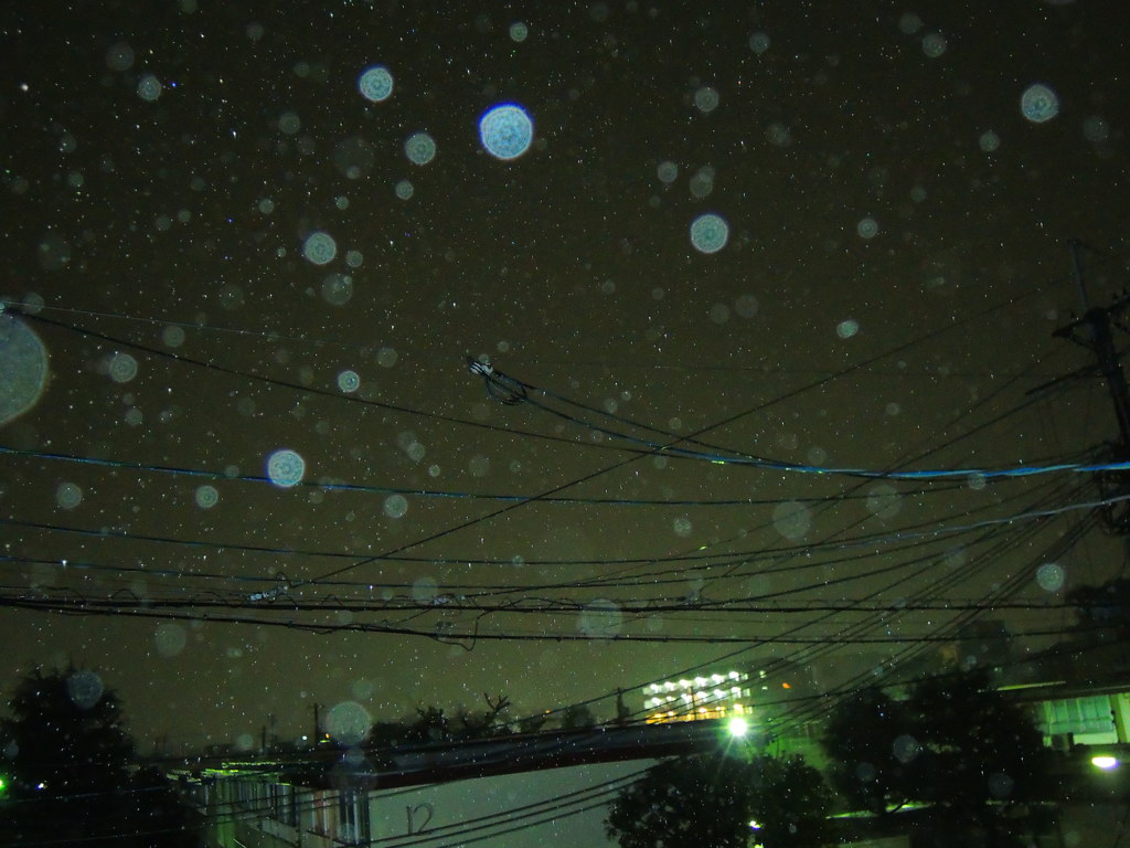 静かな夜の雨
