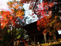 神護寺の秋