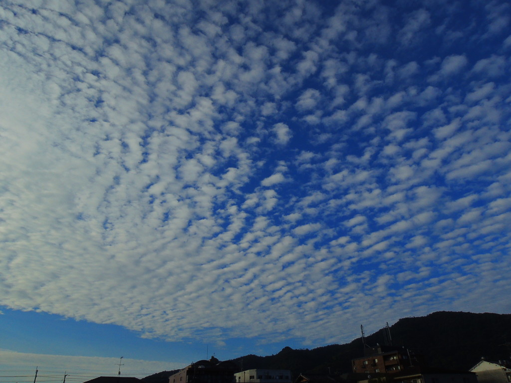 鱗雲