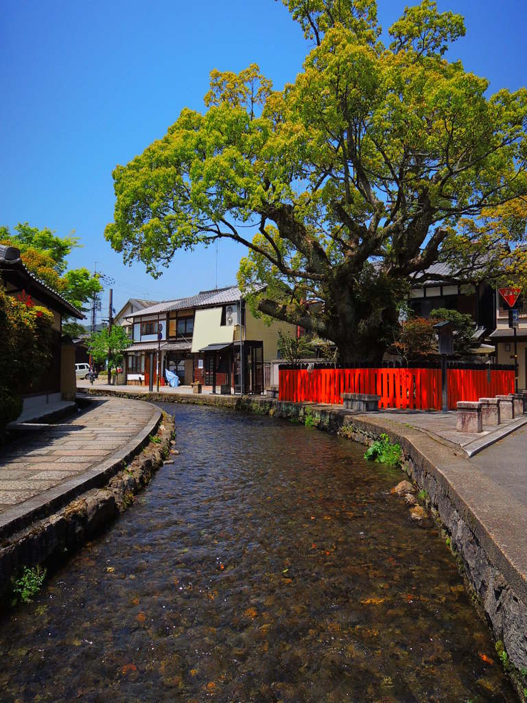 上賀茂明神川