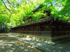 新緑の御霊神社
