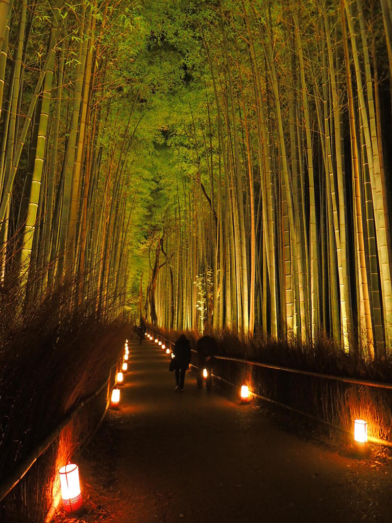 嵐山花灯籠　竹林の小径