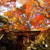 嵯峨野常寂光寺の紅葉