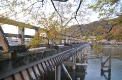 春の渡月橋