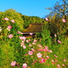 嵯峨野の秋