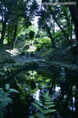 水鏡