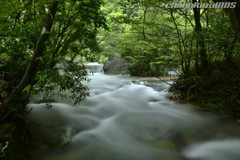 山口県 黒岩峡