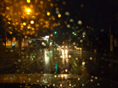 雨の光