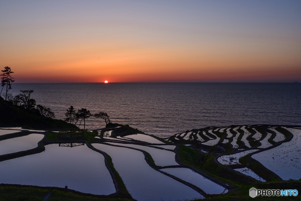 千枚田の夕陽