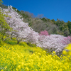 山上の楽園