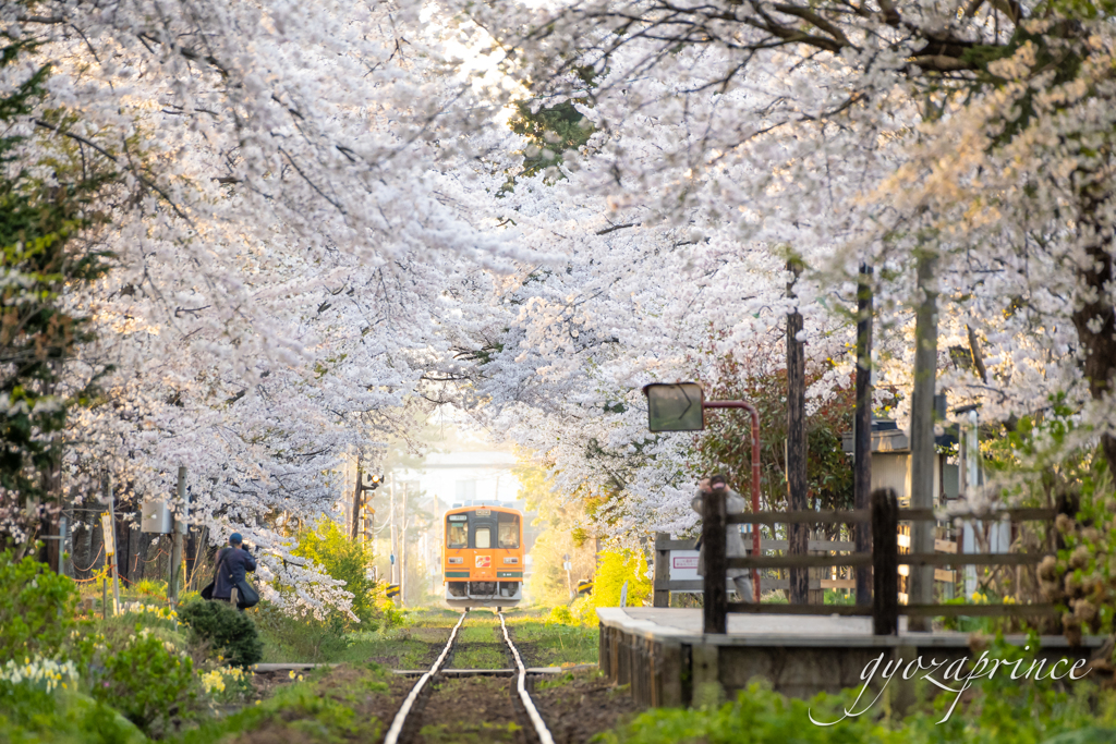 始発列車がやって来た