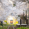 始発列車がやって来た
