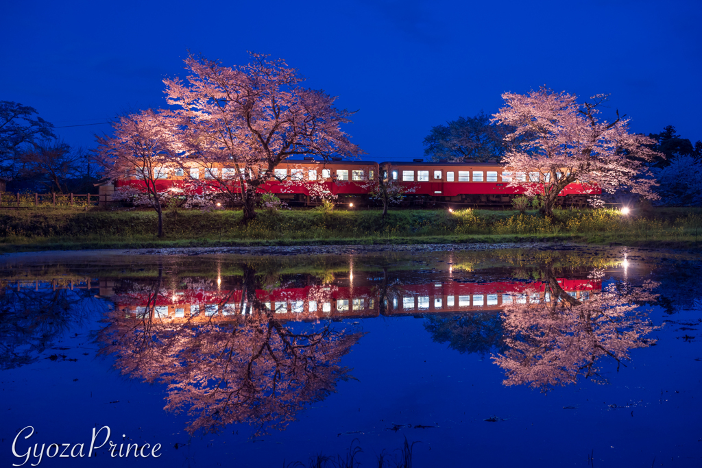 見納め_飯給の夜桜水鏡