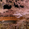 桜雲橋 夜の宴①