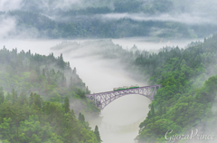 雲上列車の季節