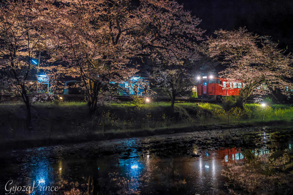 飯給夜桜_最終列車入線