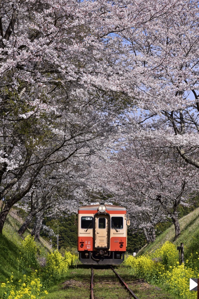 切通し