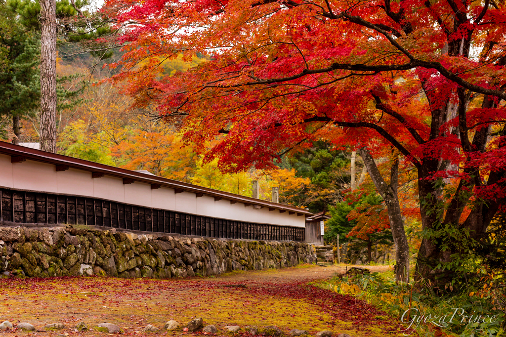 圓藏寺 庫裡の白壁