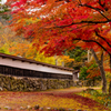 圓藏寺 庫裡の白壁