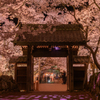 桜雲橋 夜の宴②