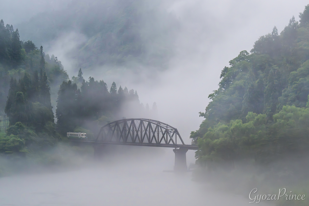 雨中の霧