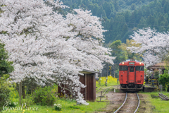 里山の春