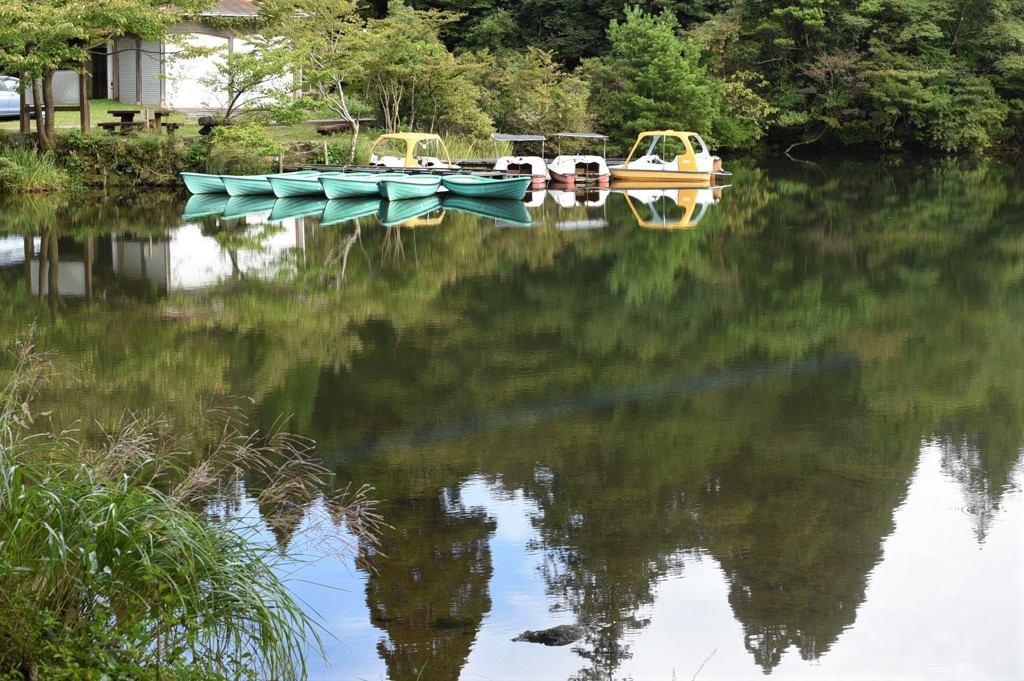 朝散歩