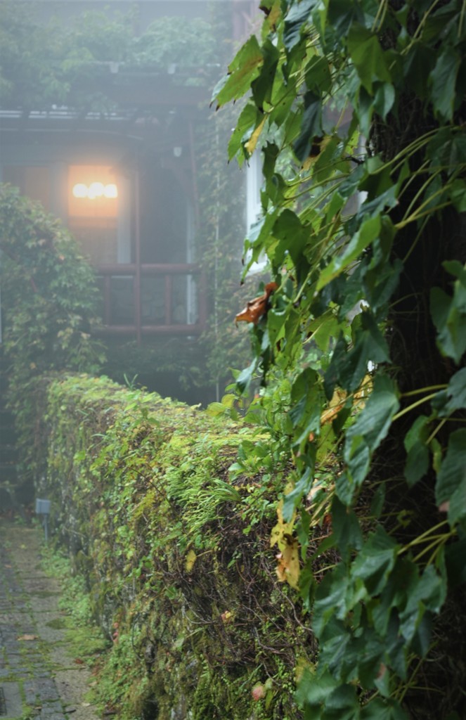 霧雨