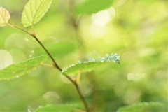 小さな置き土産