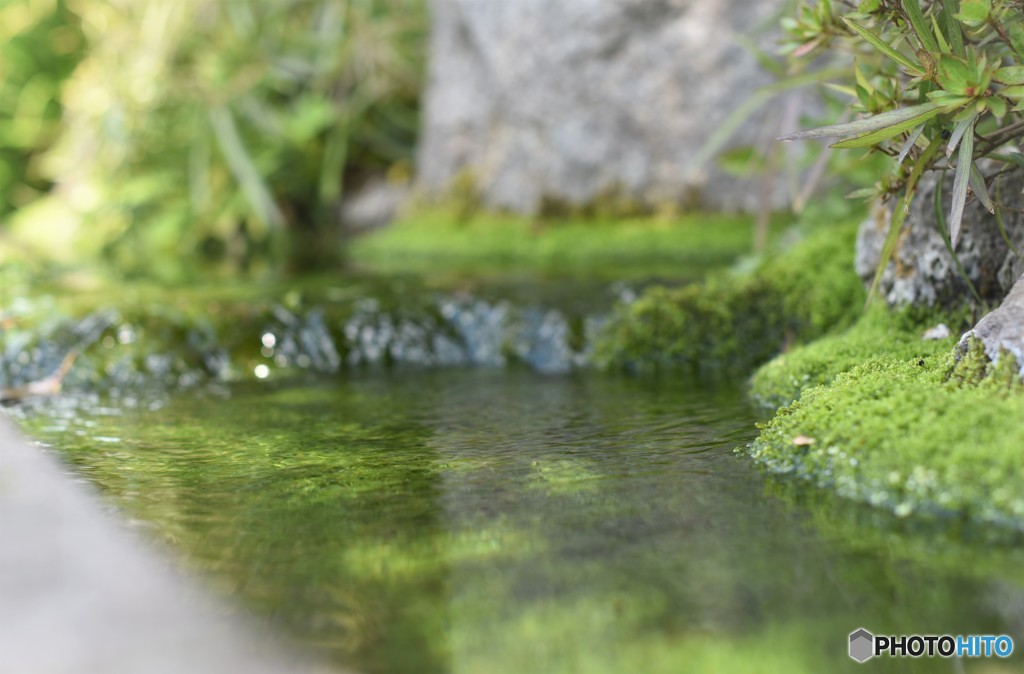 春の湧き水