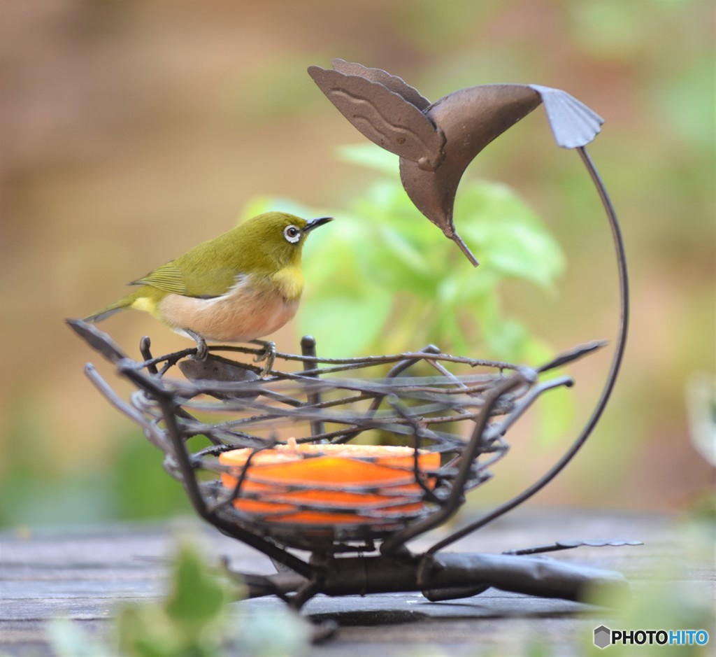 一緒に食べよ♪