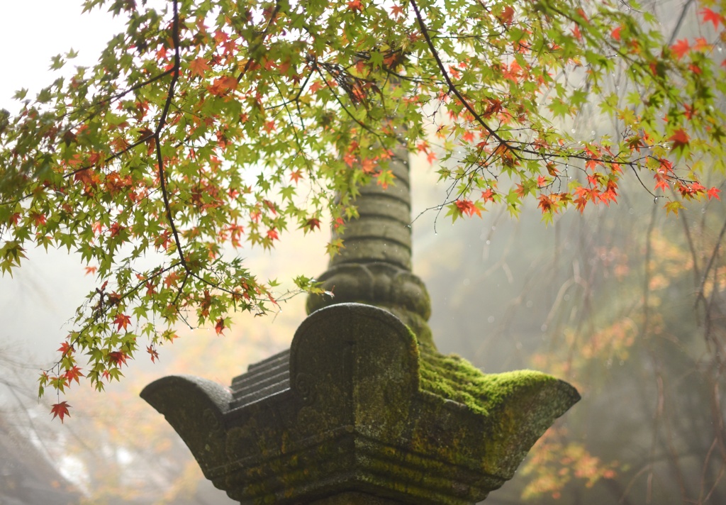 霧の境内