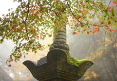 霧の境内