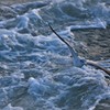 気持ちよさそうⅡ