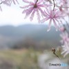 棚田を見下ろして