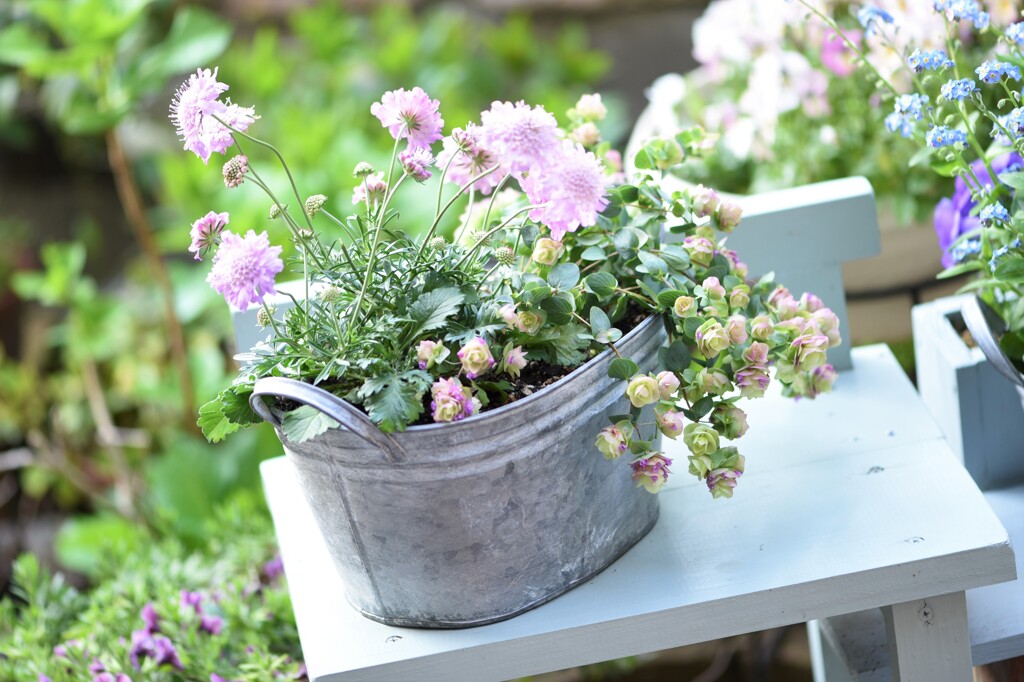 April Garden