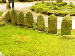 報国寺の日本庭園