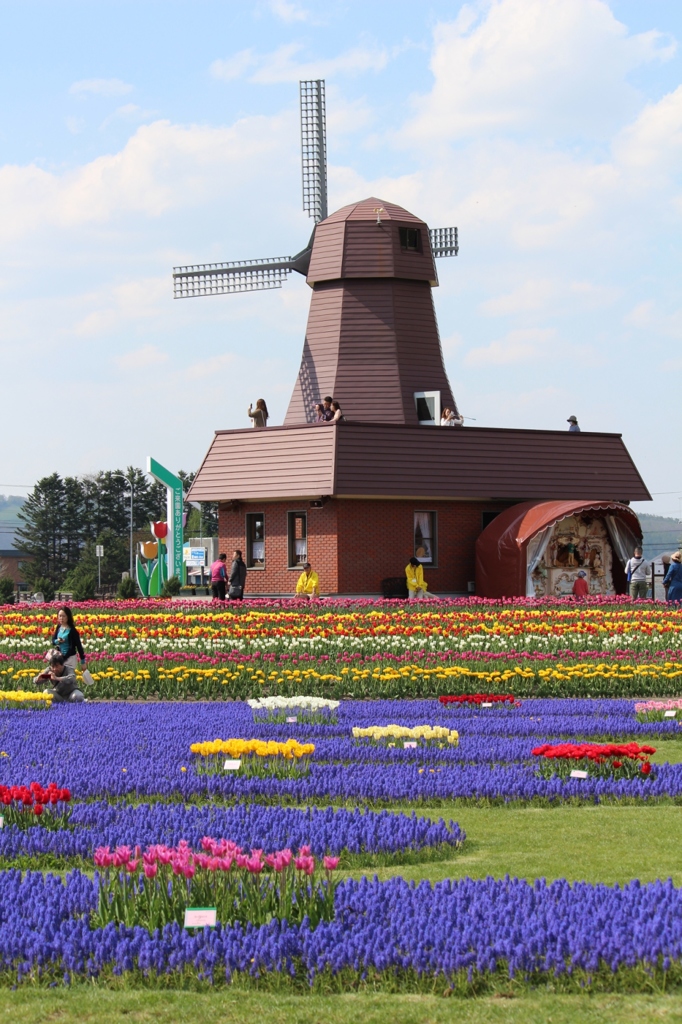 チューリップ公園