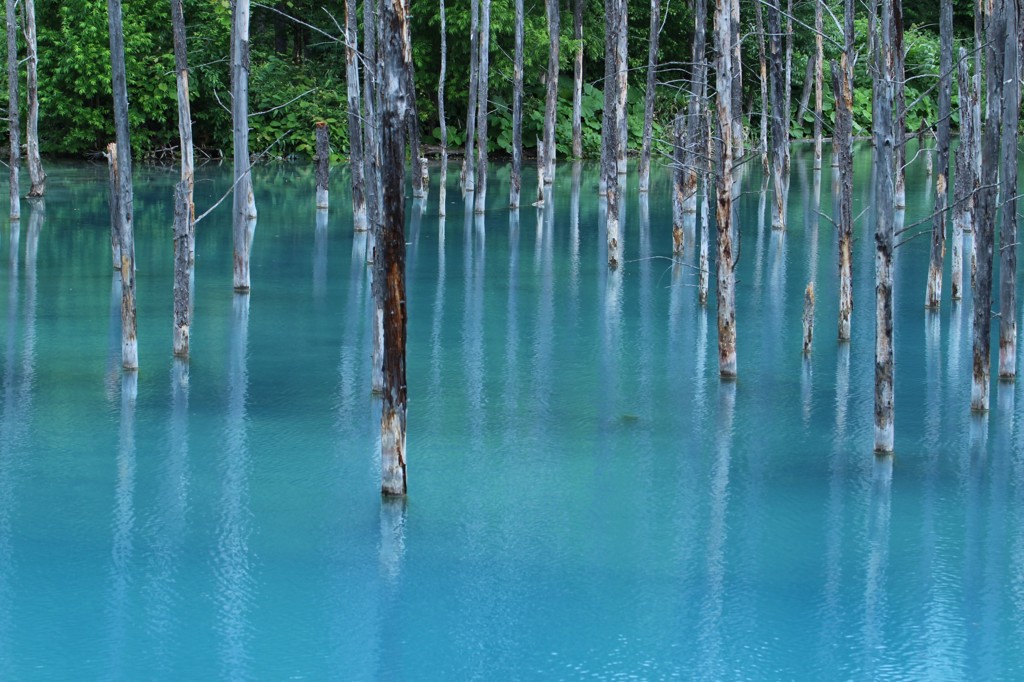青い池