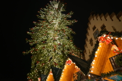 ドイツ・クリスマスマーケットの旅！24-105mmG