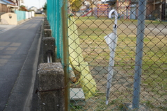 新発売、ソニー24-105mm F4 G