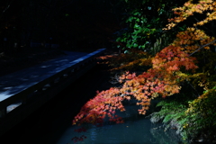 ソニーの新製品24-105mm F4G