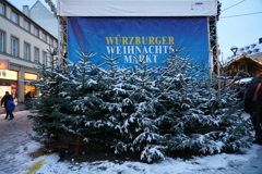 ドイツ・クリスマスマーケットの旅！24-105mmG