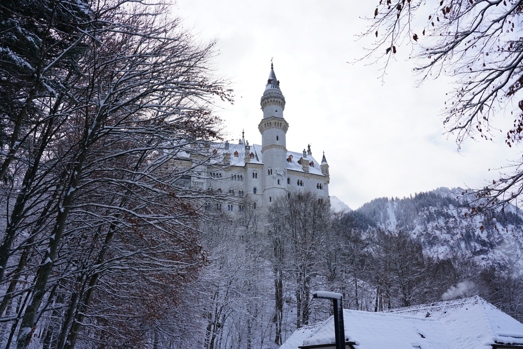 ドイツ・クリスマスマーケットの旅！24-105mmG