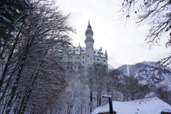 ドイツ・クリスマスマーケットの旅！24-105mmG