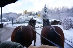 ドイツ・クリスマスマーケットの旅！24-105mmG