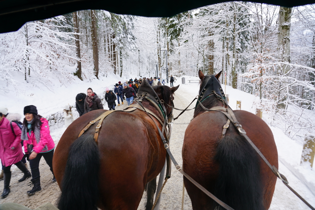 ドイツ・クリスマスマーケットの旅！24-105mmG